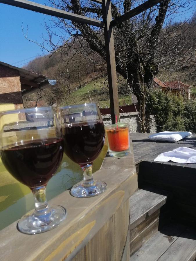 Casa De Vacanta Silvia Vărmaga Zewnętrze zdjęcie