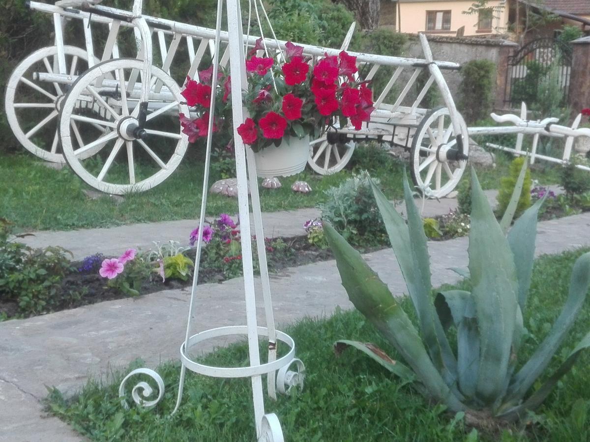Casa De Vacanta Silvia Vărmaga Zewnętrze zdjęcie