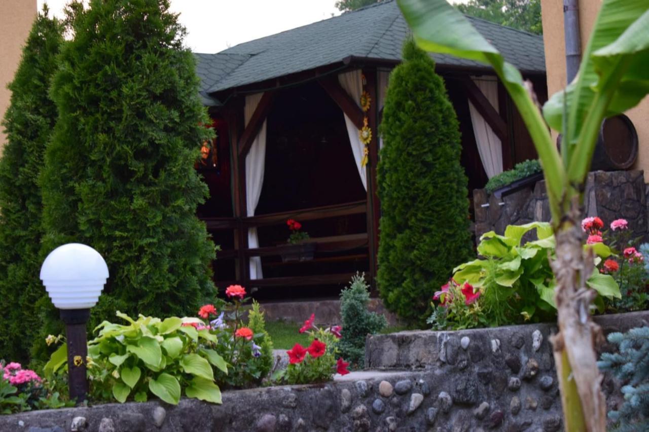 Casa De Vacanta Silvia Vărmaga Zewnętrze zdjęcie